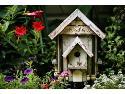 Casa para pájaros