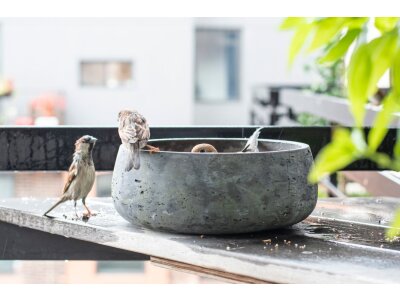 Comederos para animales