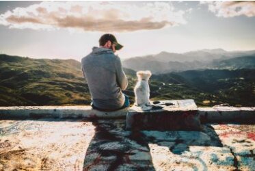 Ideas para fotos con perro - Fotografiar a un perro: la mejor foto de su perro