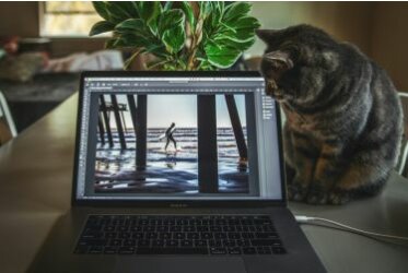 Photoshop AI - Photoshop AI: la edición de imágenes nunca ha sido tan fácil