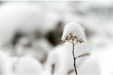 Fotos en la nieve - Fotos en la nieve: Tu guía | fotoalben-discount.de
