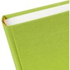 Goldbuch Álbum de Fotos Bella Vista verde 25x25 cm 60 páginas blancas