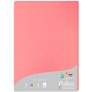 25 hojas de papel Polen, DIN A4, 210 g lichi