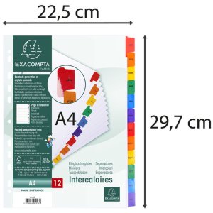 Registro Exacompta DIN A4 con 12 pestañas