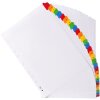 Índice 31 piezas A4+ cartón 20 piezas 160g blanco