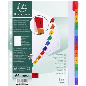 Exacompta registro DIN A4 12 pestañas cartón 160 g organización oficina
