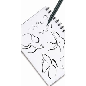 Pincel de bolsillo Pentel Blister + 2 recambios