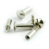 Goldbuch Screw Set plata (para Goldbuch Screw Albums)