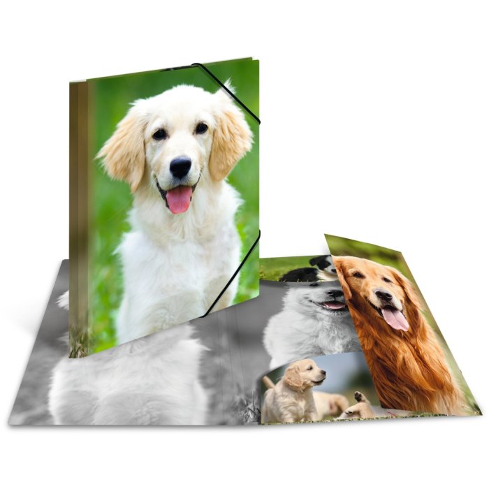 Carpeta de correo A4 con banda elástica perro