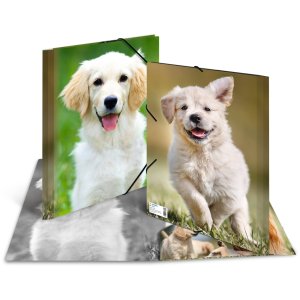 Carpeta de correo A4 con banda elástica perro