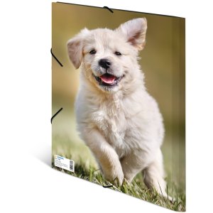 Carpeta de correo A4 con banda elástica perro