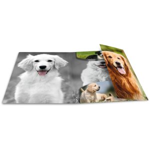Carpeta de correo A4 con banda elástica perro