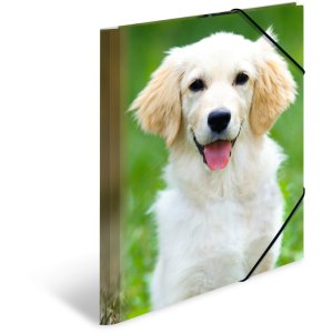 Carpeta de correo A4 con banda elástica perro