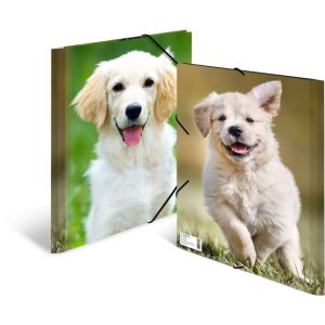 Carpeta de correo A4 con banda elástica perro