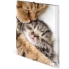 Carpeta A3 con banda elástica gatito