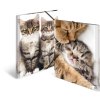 Carpeta A3 con banda elástica gatito