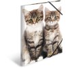 Carpeta A3 con banda elástica gatito