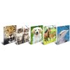 Carpeta A3 con banda elástica gatito