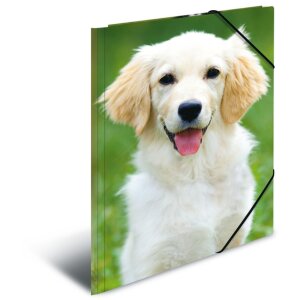 Carpeta de correo A3 con banda elástica perro