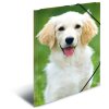 Carpeta de correo A3 con banda elástica perro
