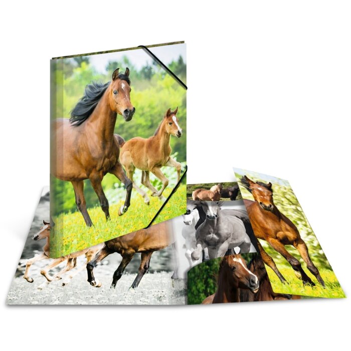 Carpeta A3 con banda elástica Caballos