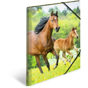 Carpeta A3 con banda elástica Caballos