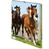 Carpeta A3 con banda elástica Caballos