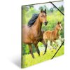 Carpeta A3 con banda elástica Caballos