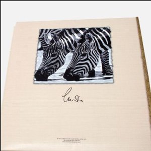 Álbum stock VIDA SILVESTRE 100 fotos 11x16 cm