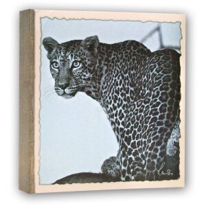 Álbum stock WILD LIFE 200 fotos 11x16 cm