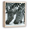 Álbum stock WILD LIFE 200 fotos 11x16 cm