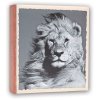 Álbum de archivo WILD LIFE 200 fotos 13x19 cm