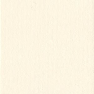 Passepartout 20x20 cm - 10x10 cm Conchiglia