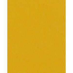 Passepartout 20x20 cm - 13x13 cm Giallo Mais
