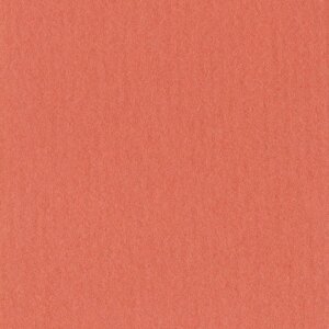 Passepartout 21x29,7 cm - 13x18 cm Corallo
