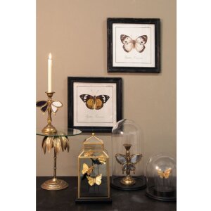 Vajilla de cristal 6GL1269 Clayre Eef