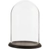 Clayre & Eef 6GL1271 Campana de vidrio Ø 23x31 cm Vidrio madera marrón Campana de vidrio redonda