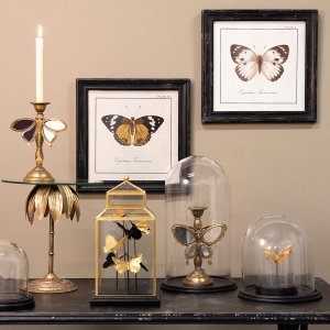 Vajilla de cristal 6GL1272 Clayre Eef