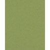 Passepartout biselado verde 40 tallas Verde Salvia