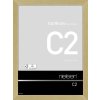 Nielsen Marco de aluminio C2 13x18 cm estructura oro mate