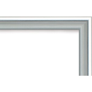 Marco de plástico Galeria 60x90 cm plata