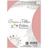 Lote de 5 Tarjetas Grain de Pollen 105x148 mm Polvo de Coral