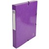 Caja de Archivo Iderama, Lomo 40mm - 24x32cm Morado