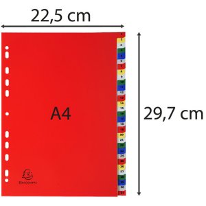 Registro PP coloreado con números impresos 31 unidades
