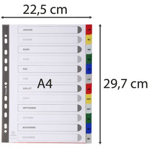 Índice DIN A4 con 12 pestañas