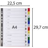 Índice DIN A4 con 12 pestañas
