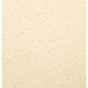Paquete de 100 - Evercover A4 270g Marfil