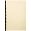 Paquete de 100 - Evercover A4 270g Marfil