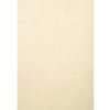 Paquete de 100 - Evercover A4 270g Marfil