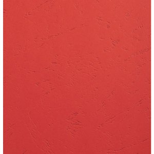 Paquete de 100 - Evercover A4 270g Rojo